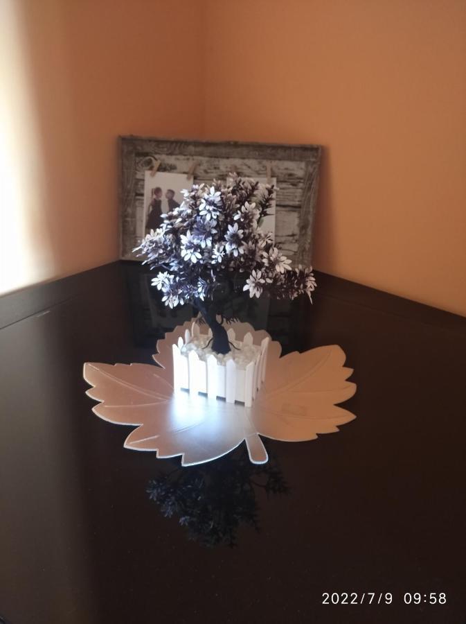 Buric Rooms Nikšić Dış mekan fotoğraf